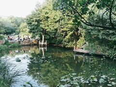 -杭州半山国家森林公园