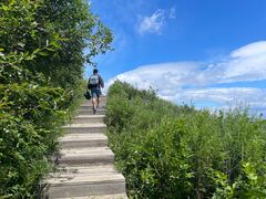 -白草畔自然风景区