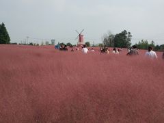 -羊亭河湿地公园