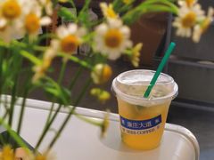 -喜柿咖啡SeeS coffee