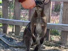 -水上乐园·欢乐世界