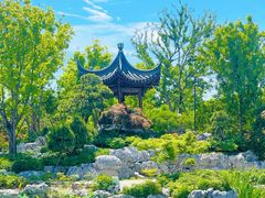 -上海滨江森林公园