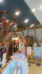 -卡通尼·Safari非洲探索乐园·生日会(金桥国际商业广场店)