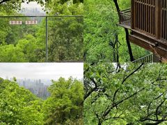 -山城巷传统风貌区