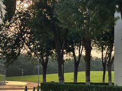 -北京国家会计学院