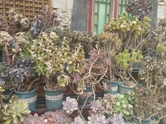 -周老三跷脚牛肉·全牛火锅(非遗传承店)