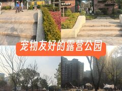 -新江湾城公园