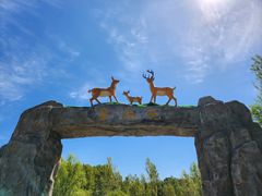 -野鸭湖国家湿地公园