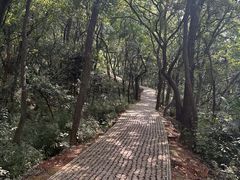 -苏州上方山国家森林公园