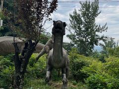 -盛世牡丹苑生态文化旅游区