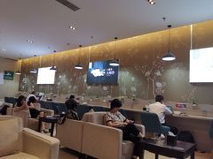 -郑州新郑国际机场T2航站楼-贵宾厅B区