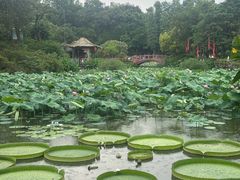-广州莲花山旅游区