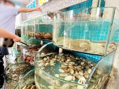 -仙螺岛海鲜自助餐厅(总店)