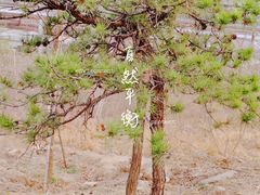 -白水寺森林公园