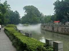 -桂湖森林公园