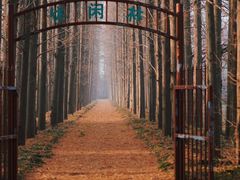 -金岛生态园烧烤露营地