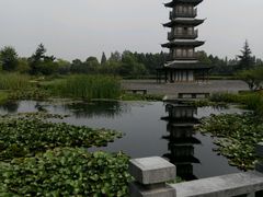 android_upload_pic-太阳岛度假酒店