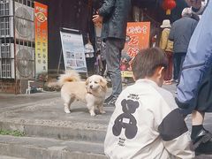-后柳水乡