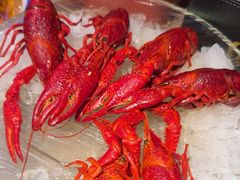 -红盔甲·小龙虾(车公庙店)