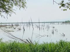 -野鸭湖国家湿地公园