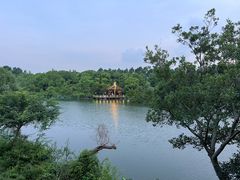 -上海怡沁园度假酒店