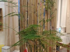 -艾柏堂8090经络·艾灸养生(御庭府邸店)