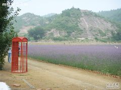 -紫海香堤香草艺术庄园