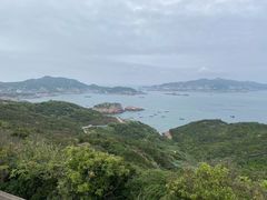 -枸杞岛