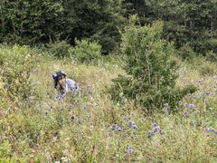 -白草畔自然风景区