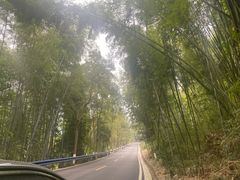 -泽雅景区