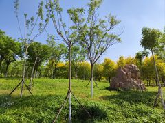 -天津东丽湖风景区
