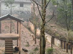 -中国大熊猫保护研究中心雅安碧峰峡基地