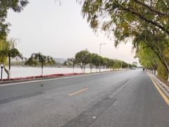 -羊山湖公园