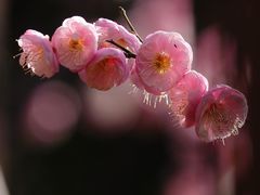 -静安雕塑公园
