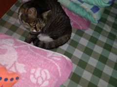 -美联众合动物医院·24h京西诊疗中心