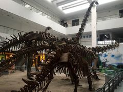 -中国地质大学逸夫博物馆