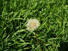 -潭柘厚院&山顶烤肉(潭柘寺店)