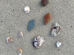 -西涌国际滨海旅游区