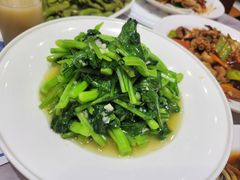 -小海丁