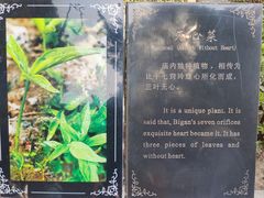 -比干庙景区