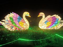 -广东花都香草世界旅游度假区