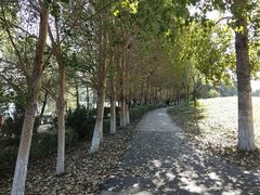 -长白岛森林公园