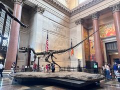 -美国自然历史博物馆