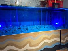 -苏州青少年科技馆