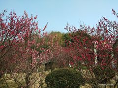 -白马涧龙池景区