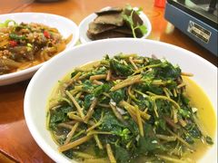 -全乐鱼馆·淳牌有机鱼直营店