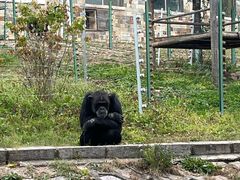 -哈尔滨北方森林动物园