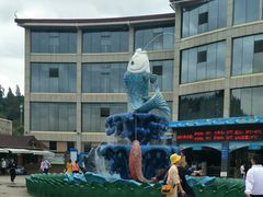 -青鱼湾水上乐园