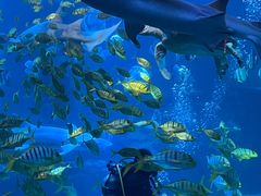 -太平洋海底世界