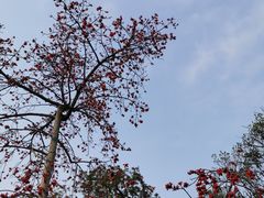 -云溪植物园
